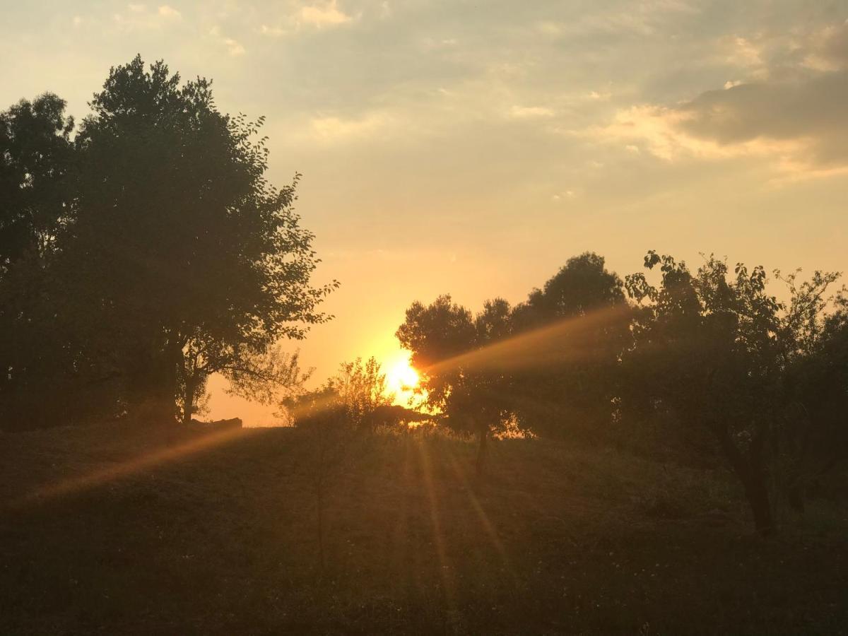 La Villetta Dei Sogni Nel Parco Rome Extérieur photo